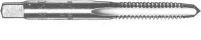 Descrição: Descrição: macho-intermedio